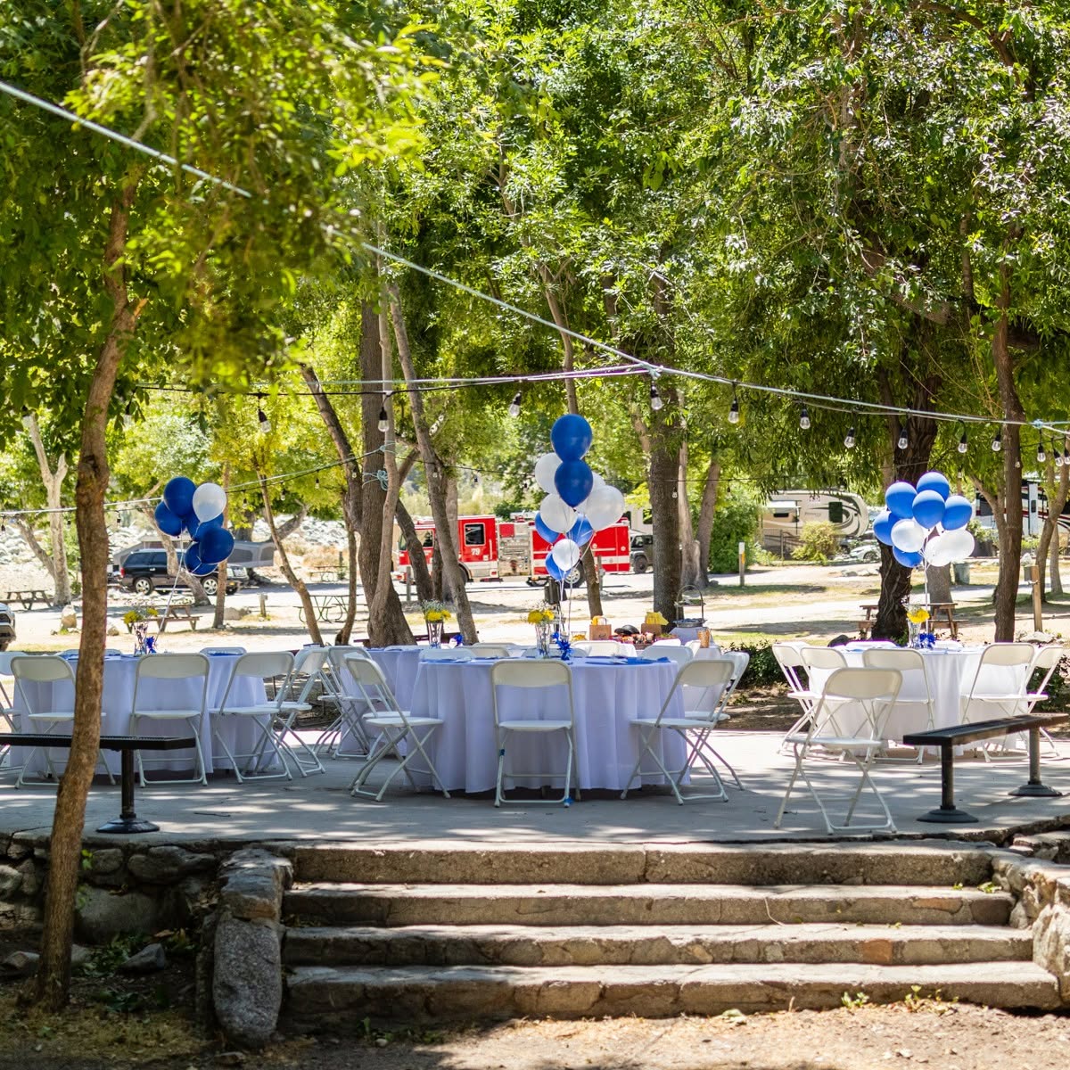 Tables and balloons set up for a gathering under the trees