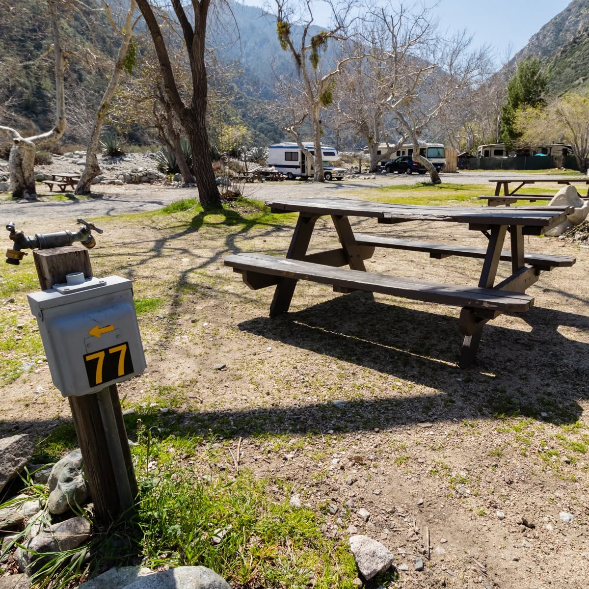 Shaded campsite 77 with picnic tables and mountain views