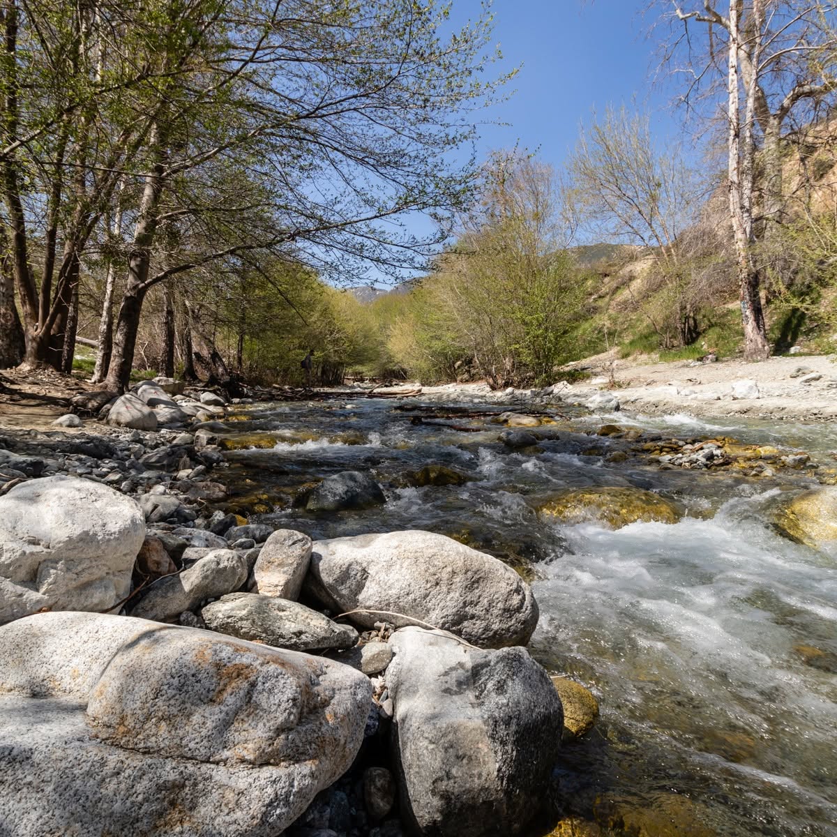 Lytle Creek rushing over boulders