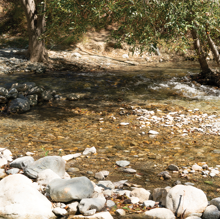 Lytle Creek flowing over smooth stones beneath the sycamores