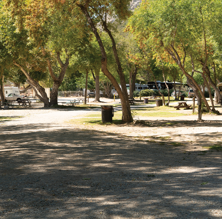 Shaded campsites with picnic tables and RVs under the trees