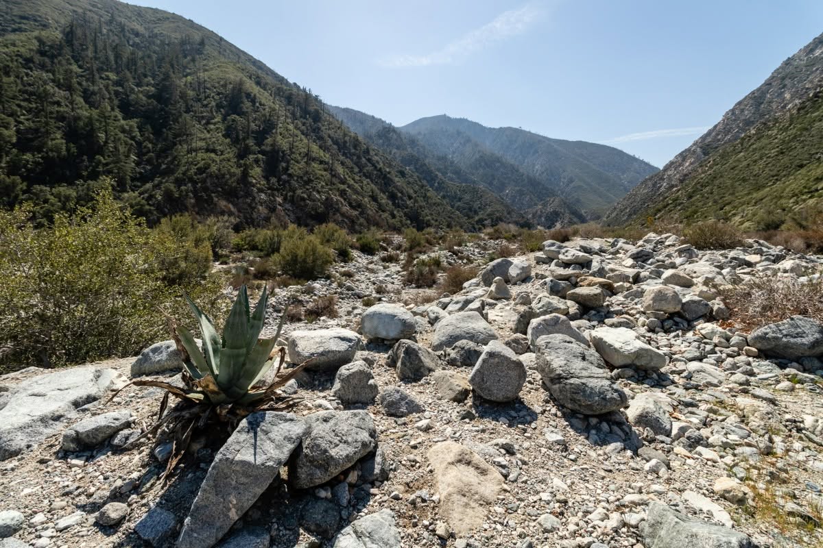 Rocky creek bed leading into the Lytle Creek canyon